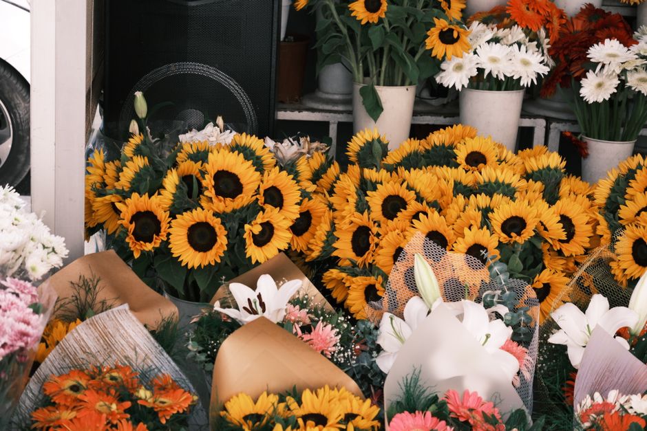 A vibrant display of fresh sunflowers with large yellow petals and dark brown centers arranged in bouquets, accompanied by white lilies and pink chrysanthemums wrapped in brown paper and decorative me