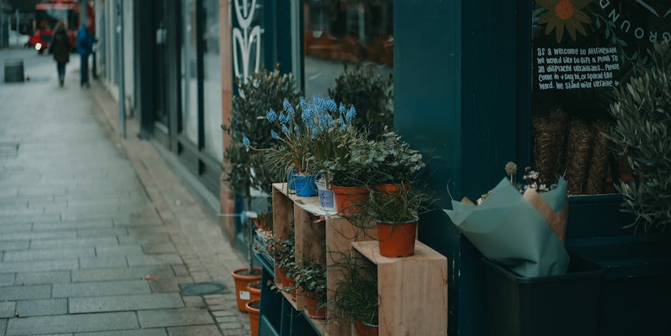 A display of potted plants and flower arrangements outside a flower shop in Norbury town centre, featuring various green foliage and blue flowers in terracotta, blue, and white pots, arranged on woode